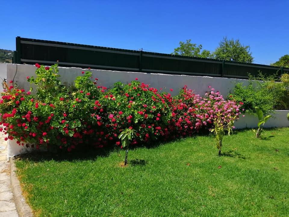 Casa Mimosa Bed & Breakfast Sao Bras de Alportel Exterior photo